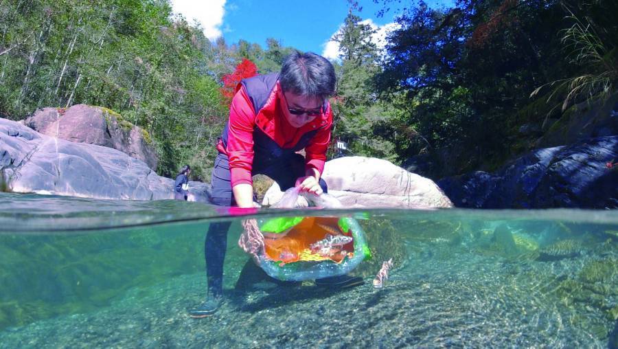 讓牠們繼續在野外生活就是最大成就